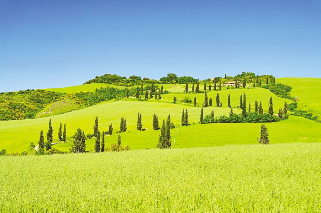 Val d Orcia, Tuscany